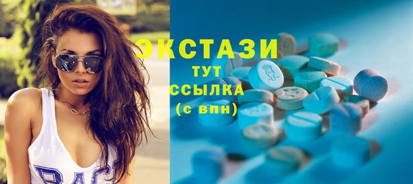 индика Беломорск