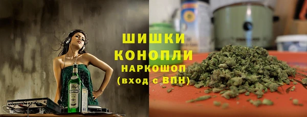 индика Беломорск