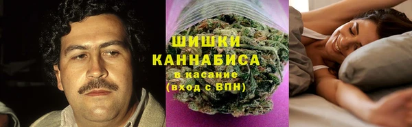 индика Беломорск