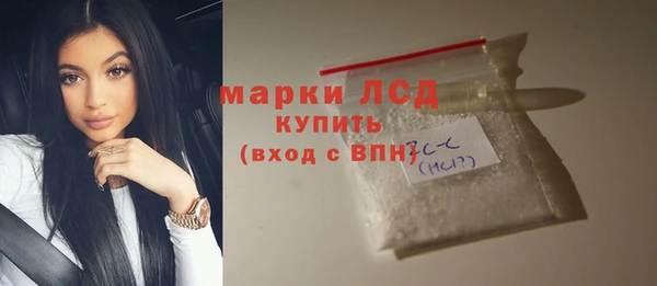 индика Беломорск
