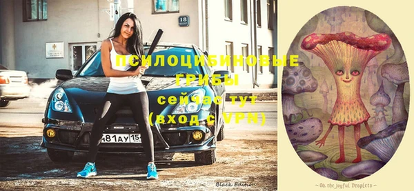 индика Беломорск