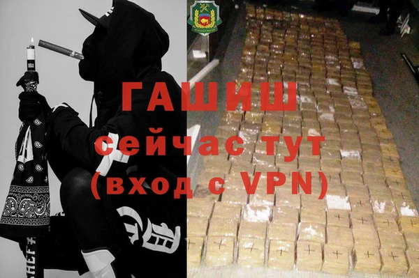 индика Беломорск