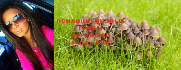 прущая мука Белокуриха