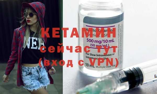 индика Беломорск