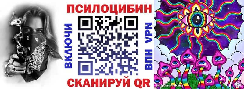Псилоцибиновые грибы Psilocybe  Мариинский Посад 